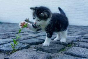 オフィスで靴音が気になる時の対策にはどんな方法がある？