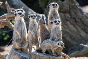 社内で靴の音に気をつけるべき理由とは？