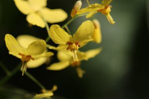 靴下の消臭に効果的な素材はどれ？