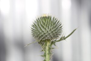 パンプスが脱げやすい原因と対処法は何ですか？