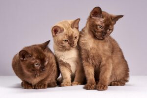足の形でパンプスが脱げる場合の対策にはどんな方法がある？