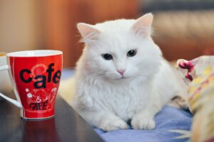 飲み会の座敷で足の臭い対策はどうするべき？