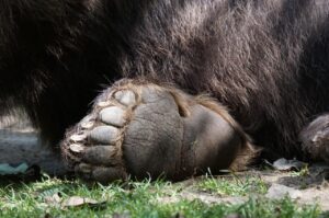 足裏のツボを刺激して臭いを改善する方法は？